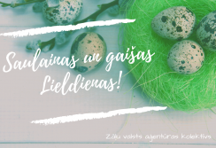 aprils-zva