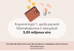 Zini_Neparmaksa_2