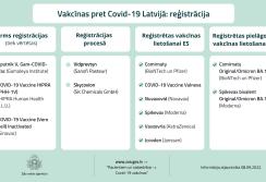 Infografika