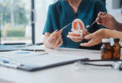 Zobārsta mācību žokļa foto