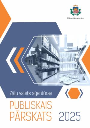 Publiskais pārskats 2025