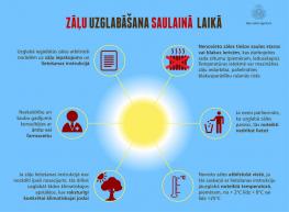 Infografika "Zāļu uzglabāšana saulainā laikā"